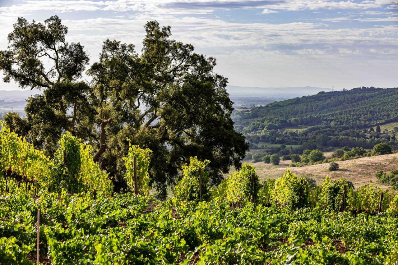La Foresteria Di Rocca Di Frassinello ガヴォッラーノ エクステリア 写真